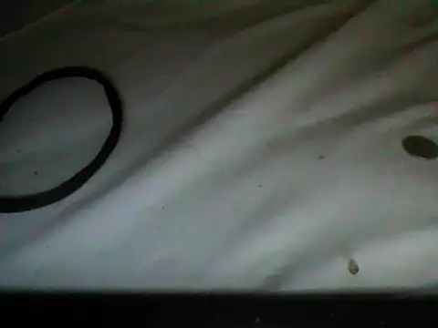 frank32love online show from 9, 11, 2025