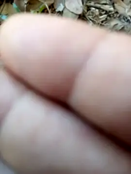 Misbion online show from 18, 11, 2025