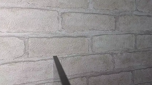 Nika Kitten online show from 16, 4, 2026