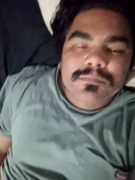 Brickstash online show from 9, 10, 2025