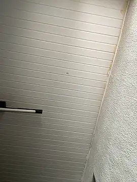 luara1988 online show from 12, 11, 2025