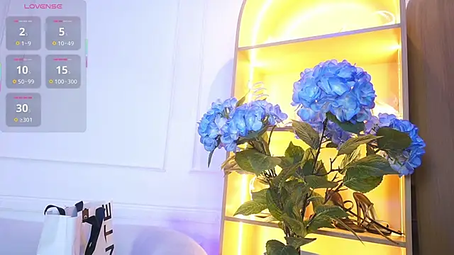 elasummer online show from 28, 11, 2025