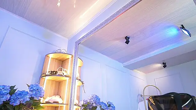 elasummer online show from 2, 4, 2026