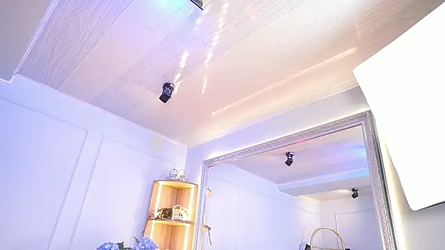 elasummer online show from 8, 4, 2026