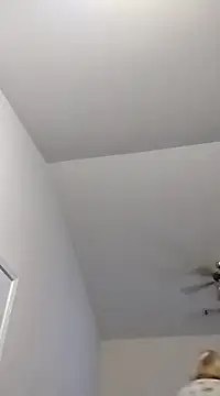 Playmate86 online show from 2, 12, 2024