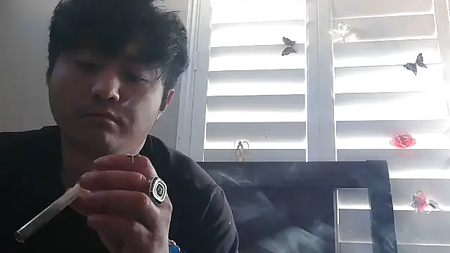 cloudyspun online show from 28, 11, 2025