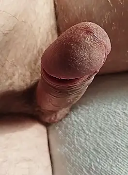 Stripchatsek online show from 1, 10, 2025