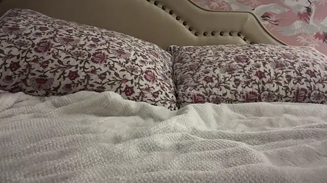 Youngjoshy online show from 24, 11, 2025