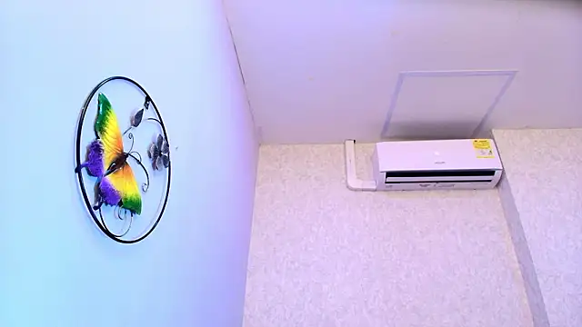 Amy wats0n online show from 28, 2, 2026