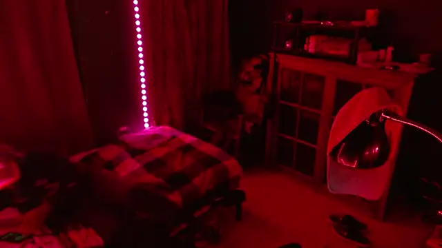        the online show from 17, 12, 2025