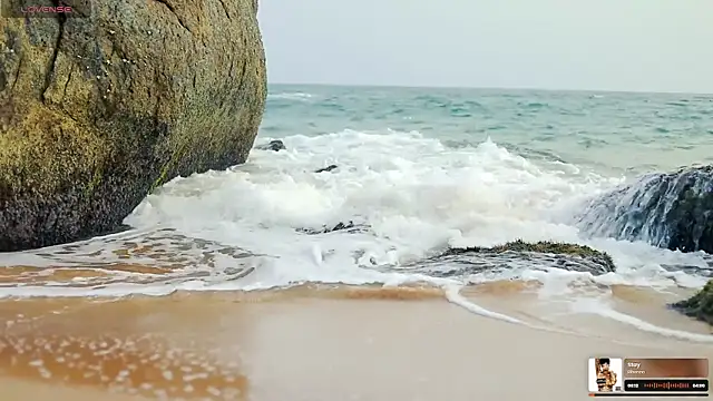  sex in paradise  online show from 20, 10, 2025