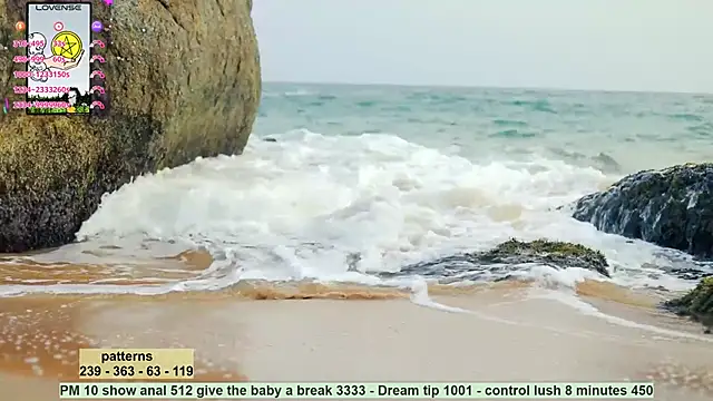  sex in paradise  online show from 17, 12, 2024