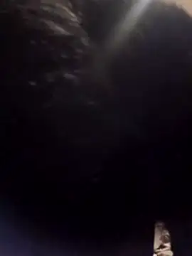 Beyond1978 online show from 18, 2, 2026