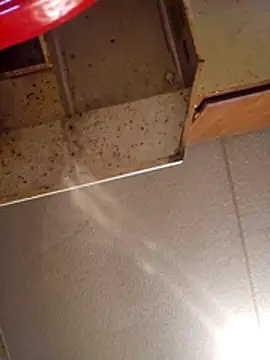 Beyond1978 online show from 13, 11, 2025