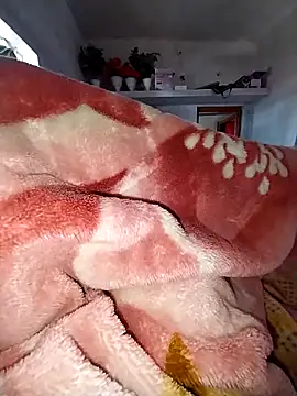 sudhastriper online show from 14, 2, 2026