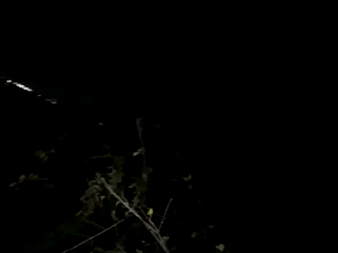 Backshort11 online show from 4, 11, 2025