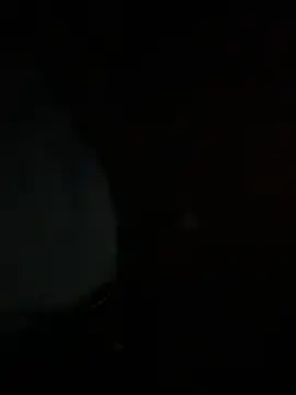 willywonka7793 online show from 18, 12, 2025