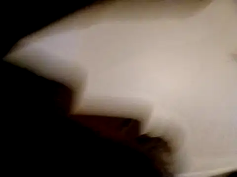 willywonka7793 online show from 16, 12, 2024