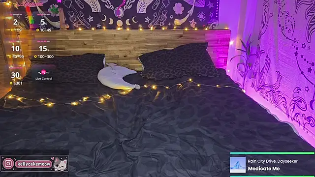 kellycakemeow online show from 3, 7, 2026