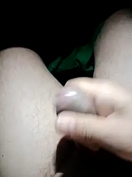 Edipaca online show from 5, 11, 2025