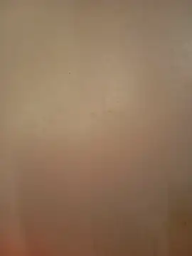Frescoooool online show from 22, 7, 2026