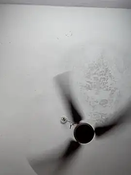 sana14 online show from 9, 3, 2026