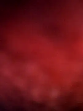 sana14 online show from 14, 12, 2025