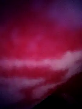 sana14 online show from 31, 1, 2026