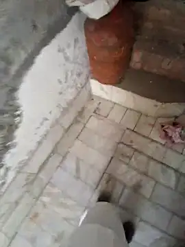 menakshiiikaur online show from 29, 3, 2026