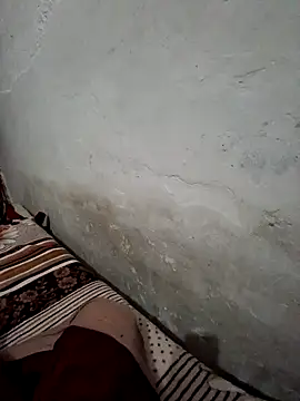 menakshiiikaur online show from 17, 12, 2024