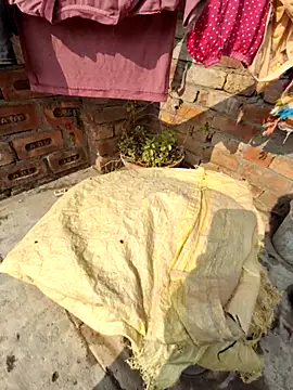 menakshiiikaur online show from 25, 12, 2024