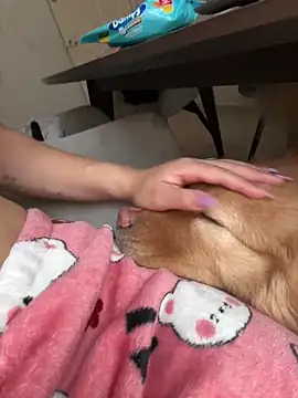 ariiel  online show from 27, 3, 2026