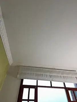 aurora divine online show from 19, 10, 2025