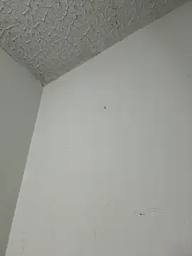 aurora divine online show from 16, 3, 2026