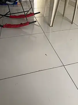 vivicolibri online show from 27, 11, 2025