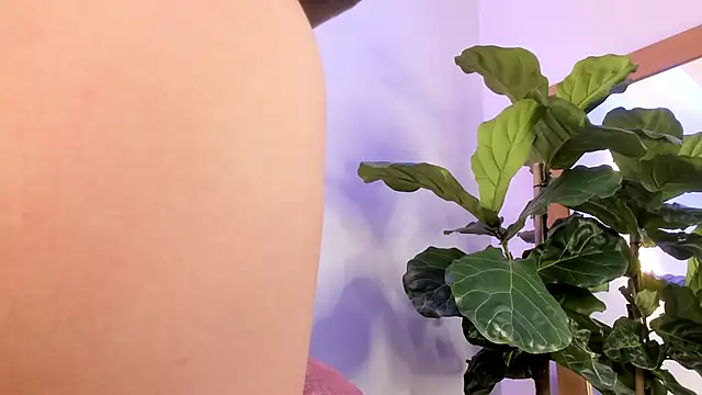 nicolle pierce online show from 22, 12, 2025