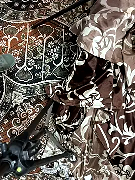 poision51 online show from 16, 11, 2025