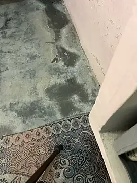 poision51 online show from 7, 4, 2026