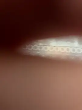 poision51 online show from 11, 4, 2026