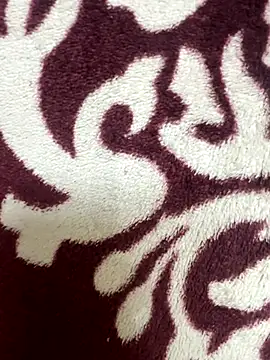 poision51 online show from 17, 11, 2025