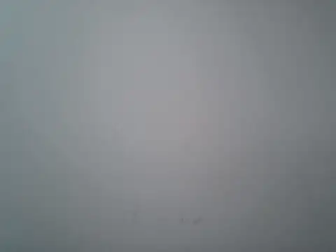 lovedoggy03 online show from 12, 1, 2026