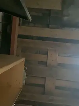 RicarBer online show from 5, 3, 2026