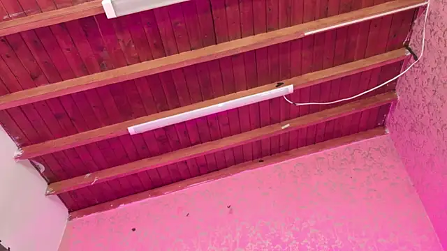 Sofia martiin online show from 14, 11, 2025