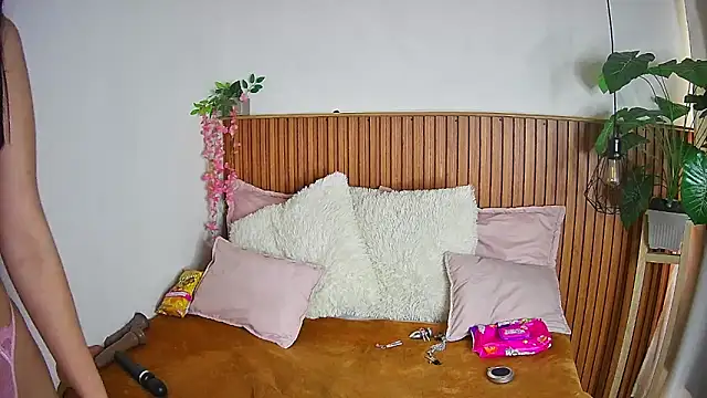 ShyVibes  online show from 4, 2, 2026