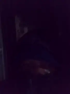 AquaticPlosion online show from 2, 3, 2026