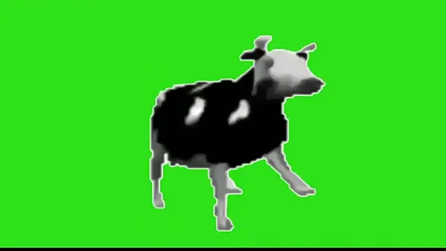 awesome anna online show from 13, 2, 2026