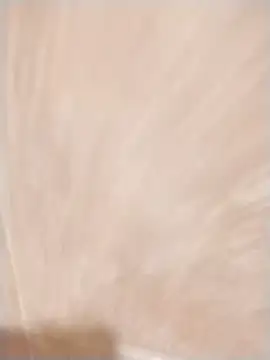 Snapshot of jenilmax chatting on 14, 2, 2025 jenilmax online show from 14, 2, 2025