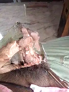 PracticalGum40 online show from 12, 4, 2026