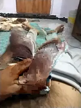 PracticalGum40 online show from 9, 4, 2026