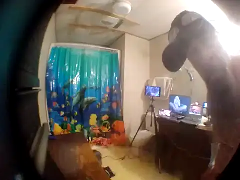 Snapshot of jockstrapstud chatting on 2, 12, 2024 jockstrapstud online show from 2, 12, 2024